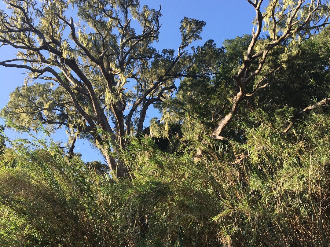 Keurbooms River Ferries Closure Notice-普利登堡湾必去景点