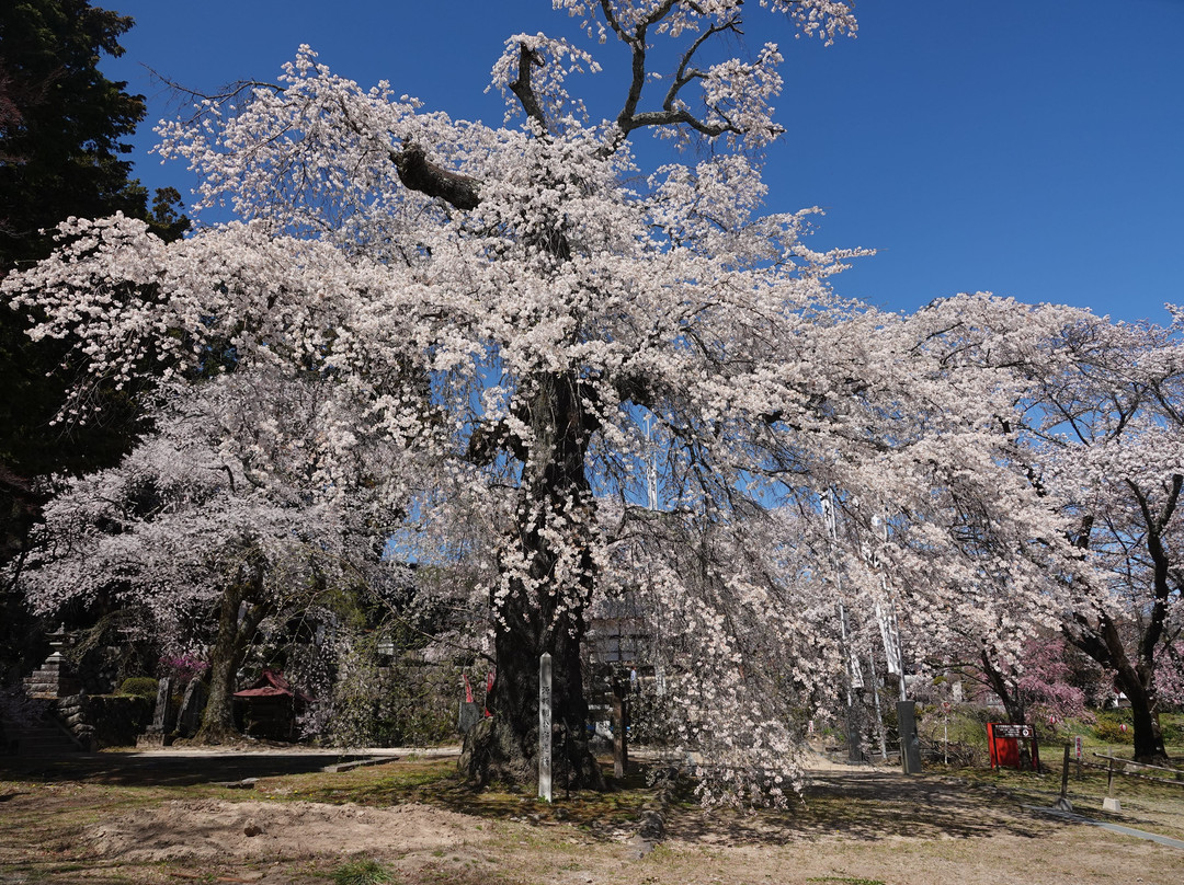 Ruriji Temple-高森町必去景点