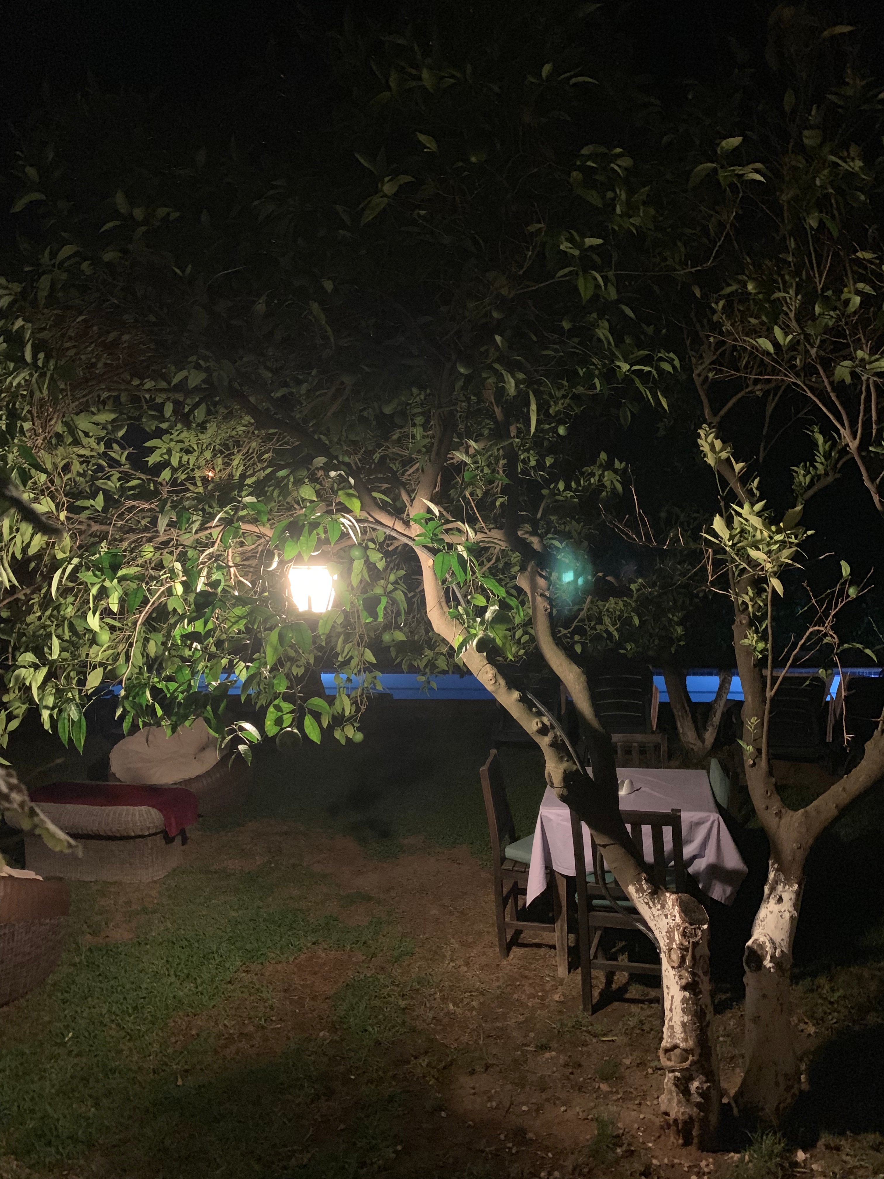 Kerme Ottoman Orange Gokova-官方