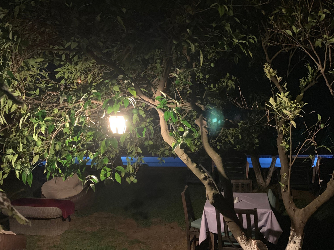 Kerme Ottoman Orange Gokova主图