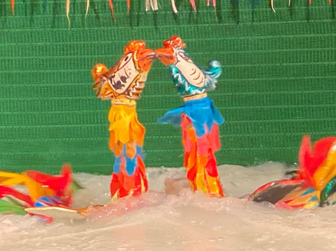 Water puppet show at Thao Dien Village-胡志明市必去景点