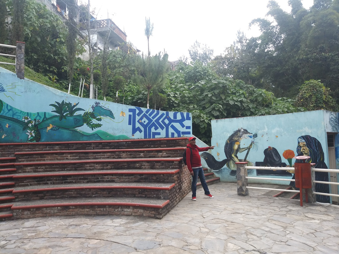 La Xochipila-Xicotepec必去景点