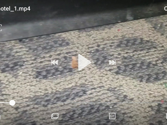 Travelodge by Wyndham Glen Allen