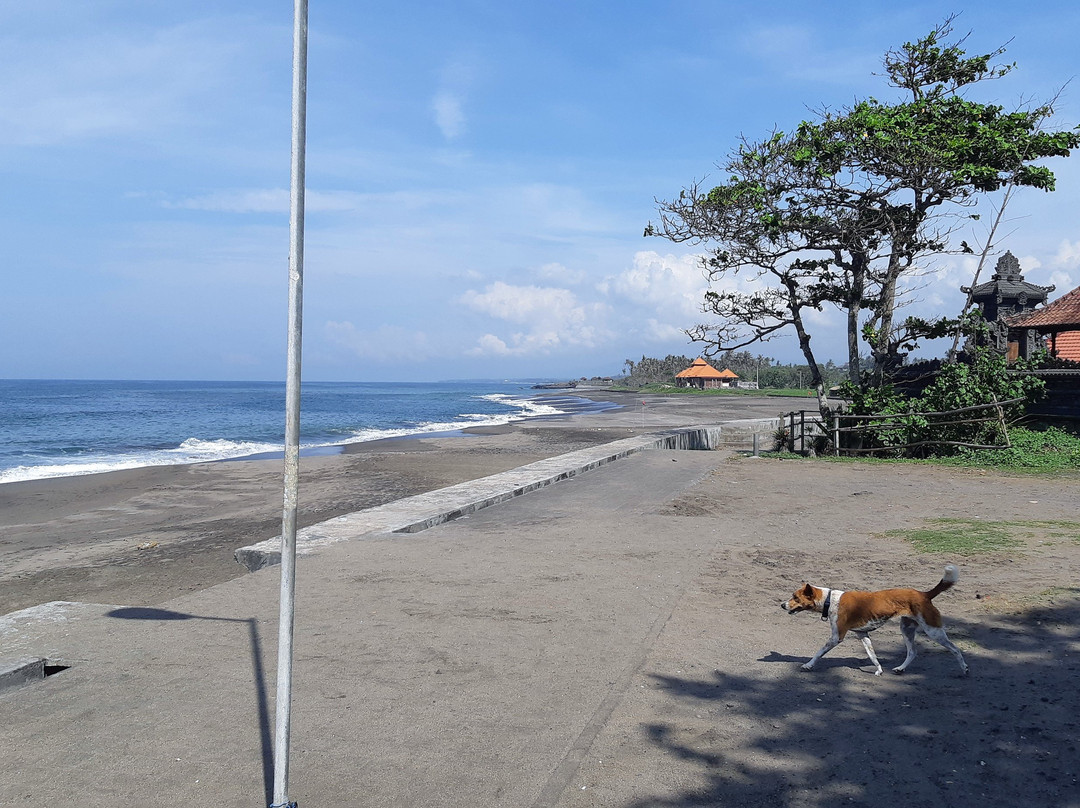 Baruna Surf Culture-长谷必去景点