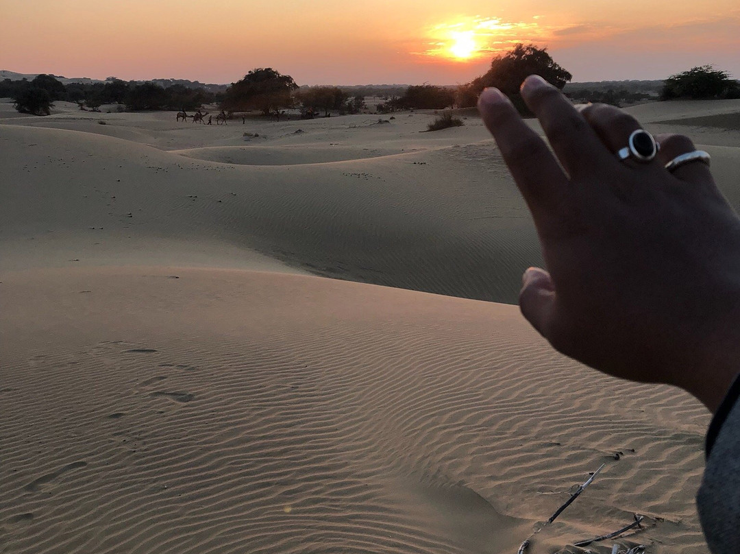 Silver Fish Jewels & Art-斋蒲尔必去景点