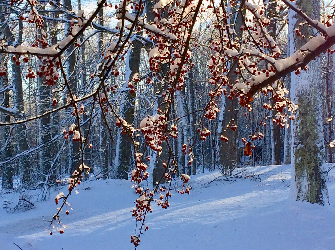 Americas Best Value Inn Marquette主图