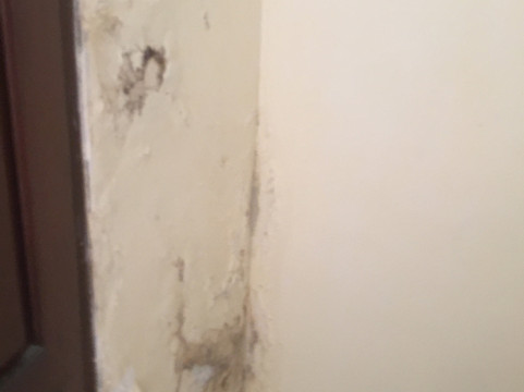 巴都贝丽格酒店主图