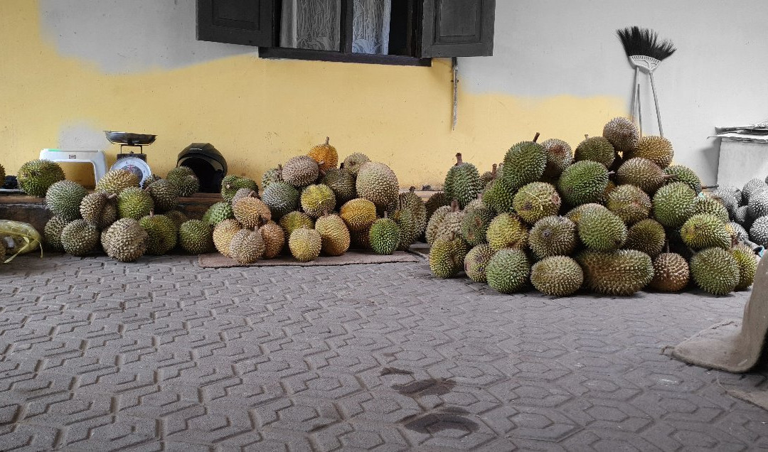 Pondok Durian Sinapeul Titin - Heri主图