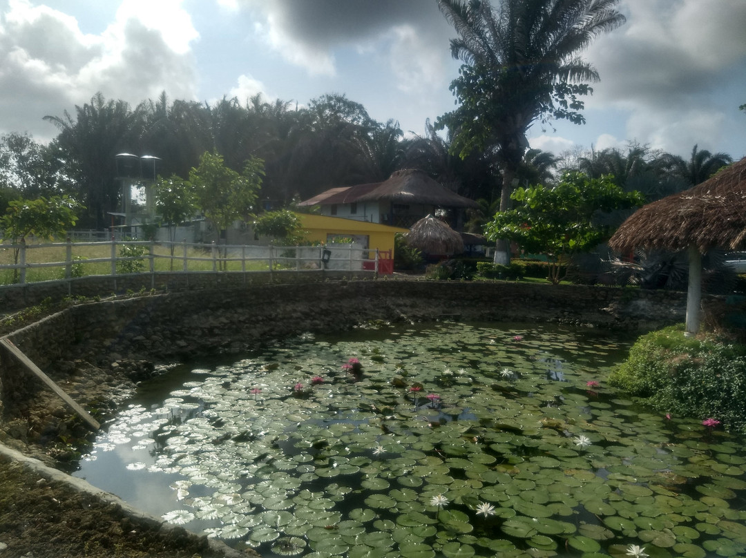 Hotel Agroturistico Palma Vino主图