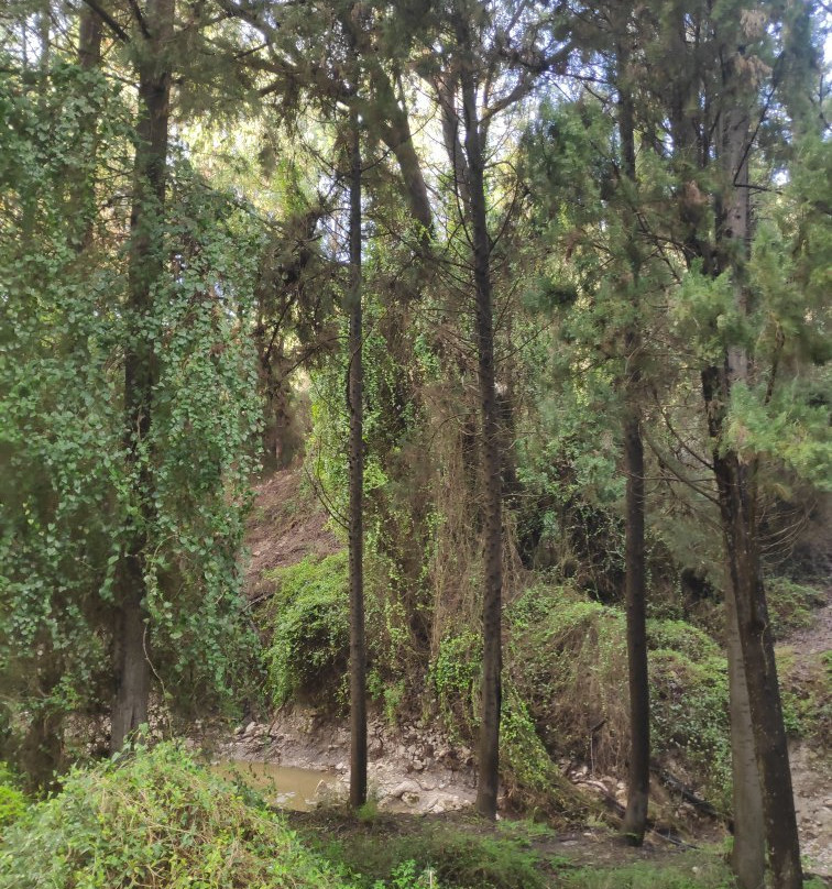 Nachal HaShofet - Shofet River-Ramot Menashe必去景点
