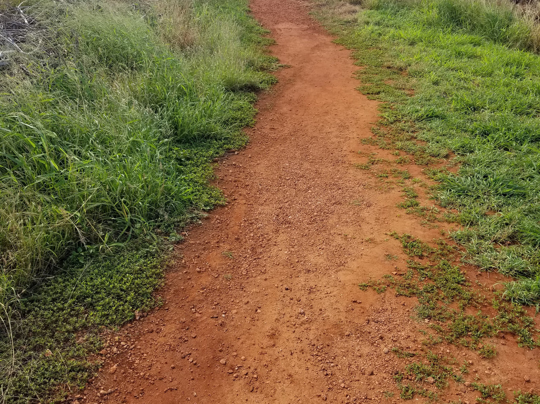 Russian Fort Elizabeth State Historical Park-威美亚必去景点