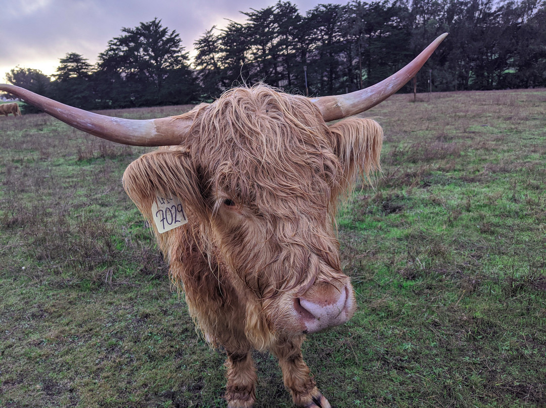 AppleGarden Cottage主图