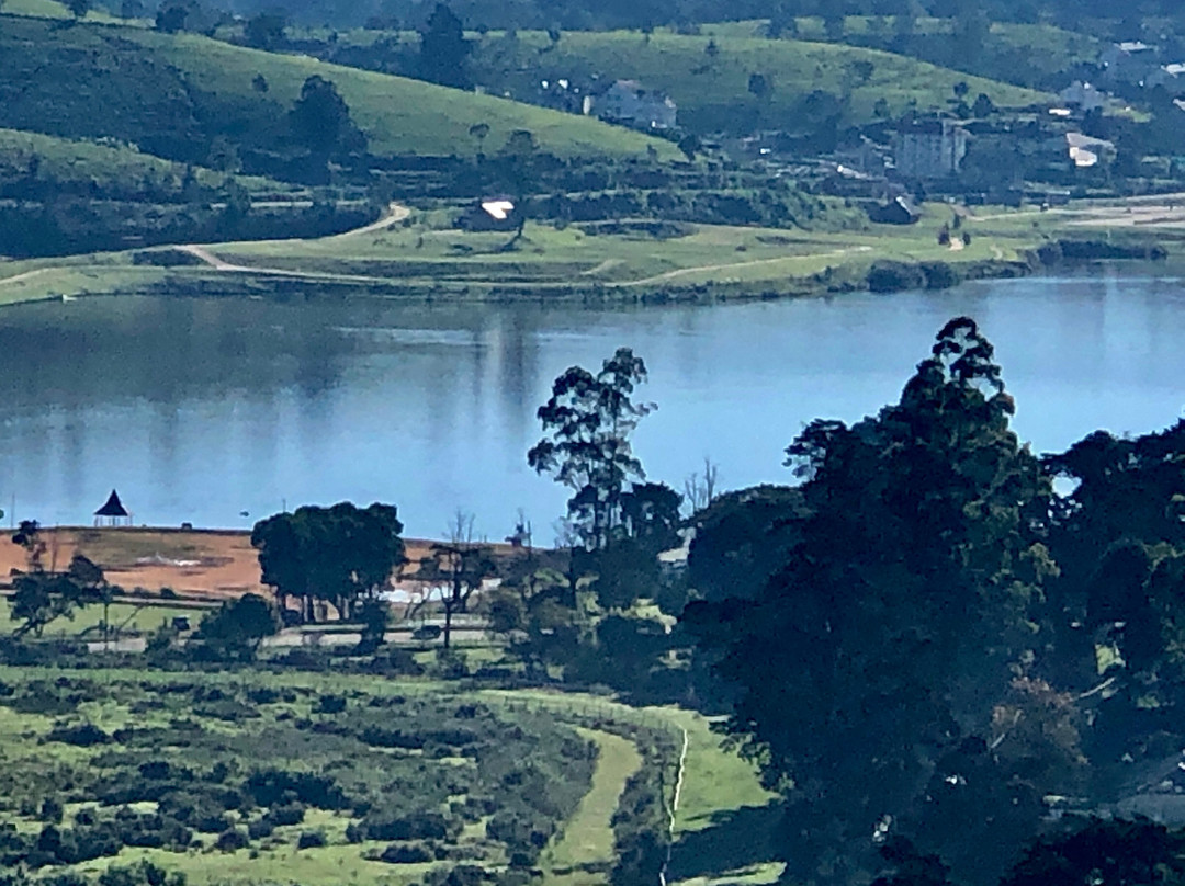 Oak Ray Summer Hill Breeze主图