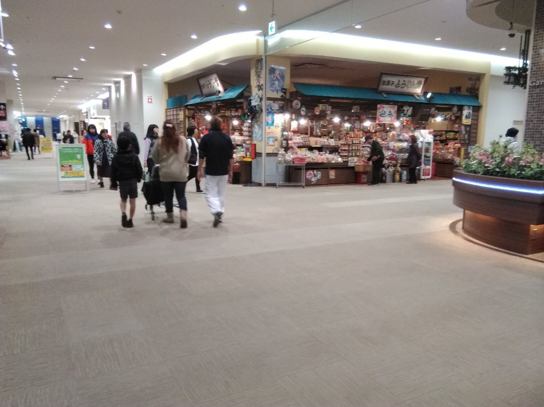 Peony Walk Higashimatsuyama-东松山市必去景点