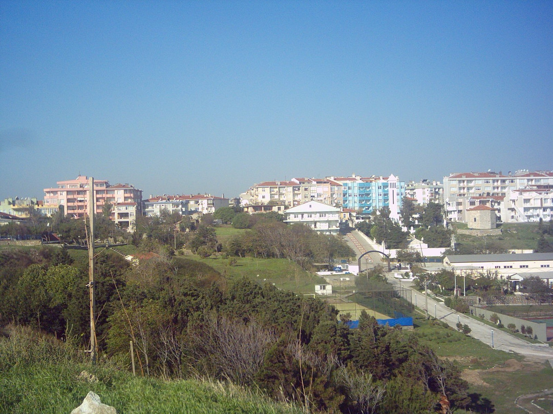Hamzakoy Plaji景点图片