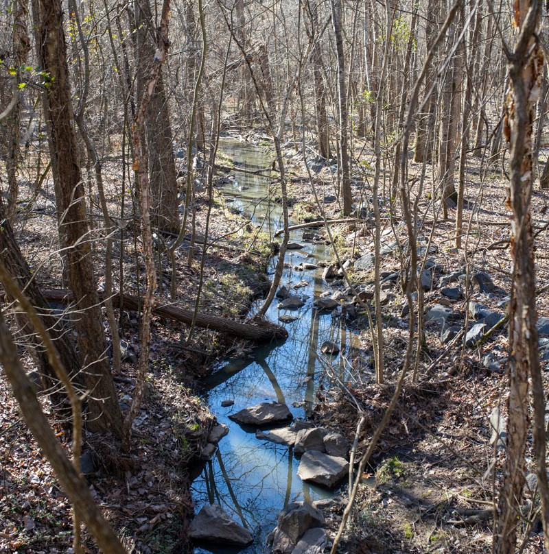 Six Mile Creek Greenway-夏洛特必去景点