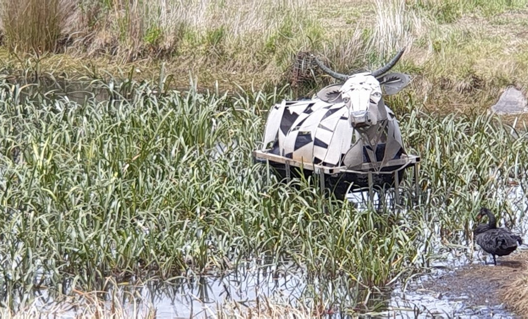 Lake Dulverton-Oatlands必去景点