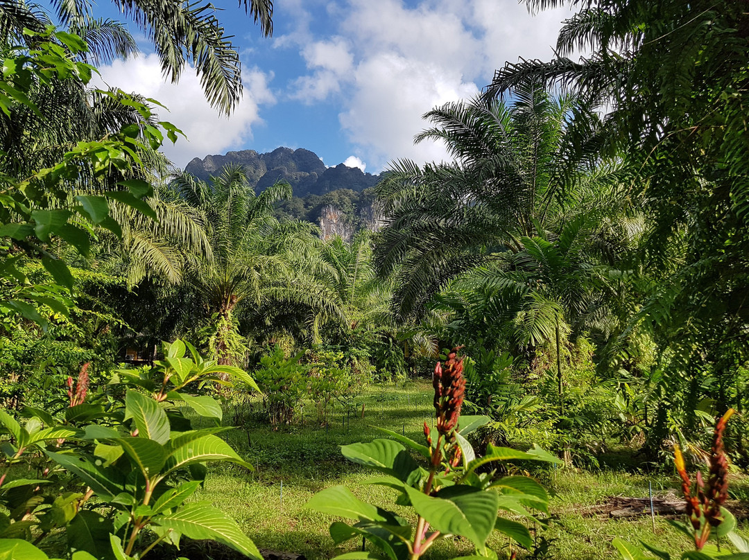 Anurak Community Lodge主图