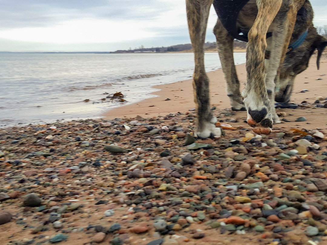 Caribou/Munroes Island Provincial Park-Pictou必去景点