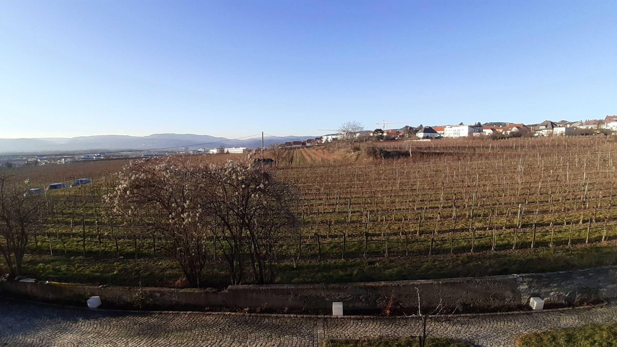 Wein-Gut Hutter-酒店景观