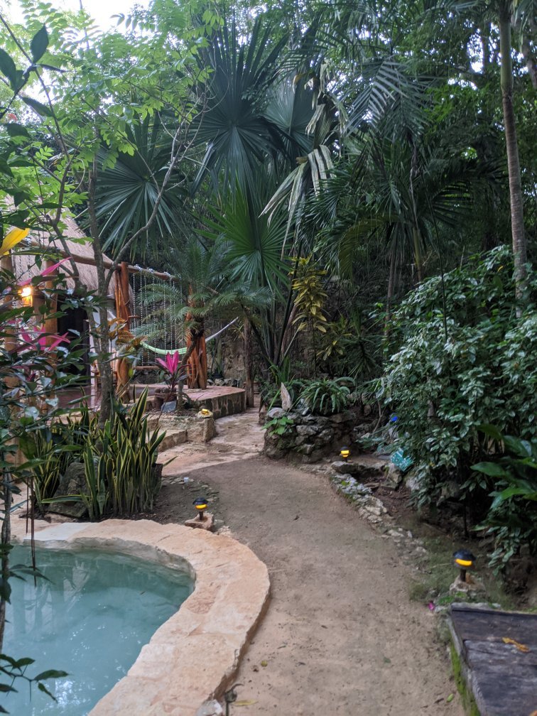 La Selva Mariposa-官方