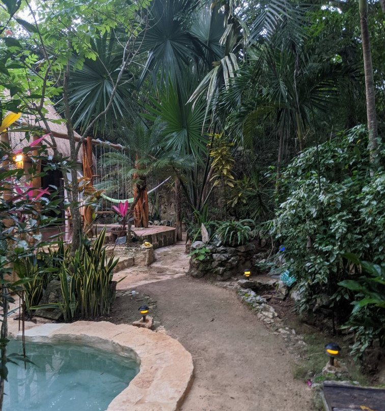 La Selva Mariposa主图