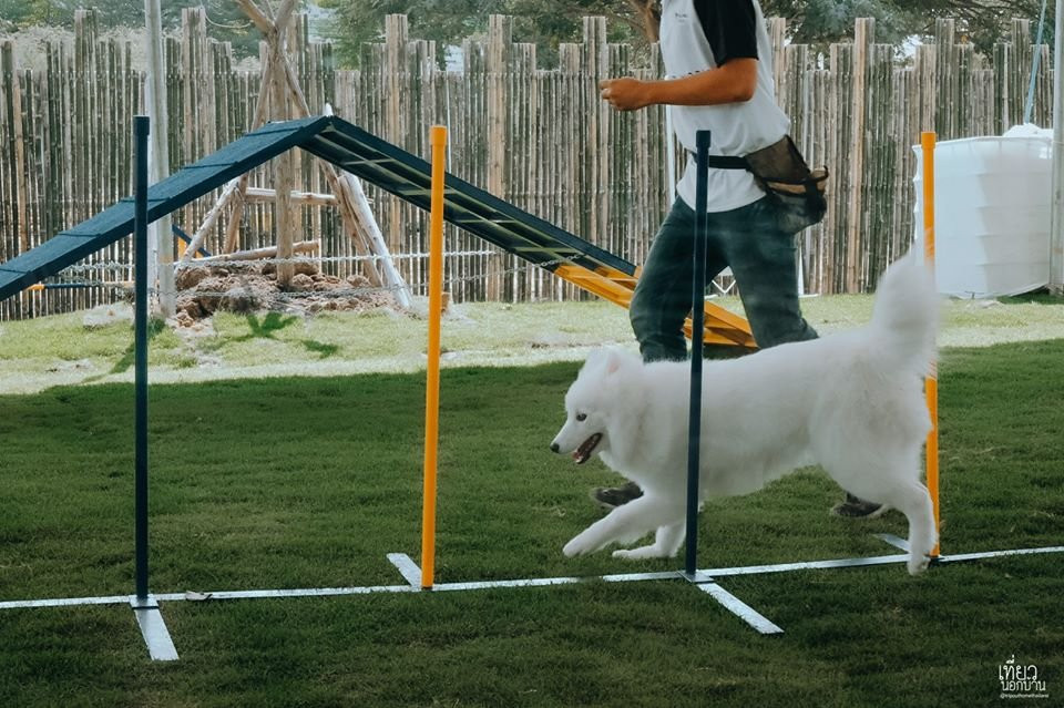 Bla Bla Boo-挽巴茵必去景点