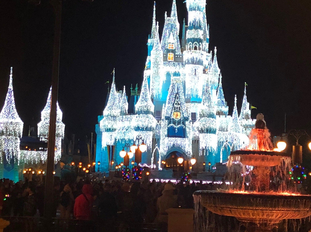 Magic of Disney-奥兰多必去景点