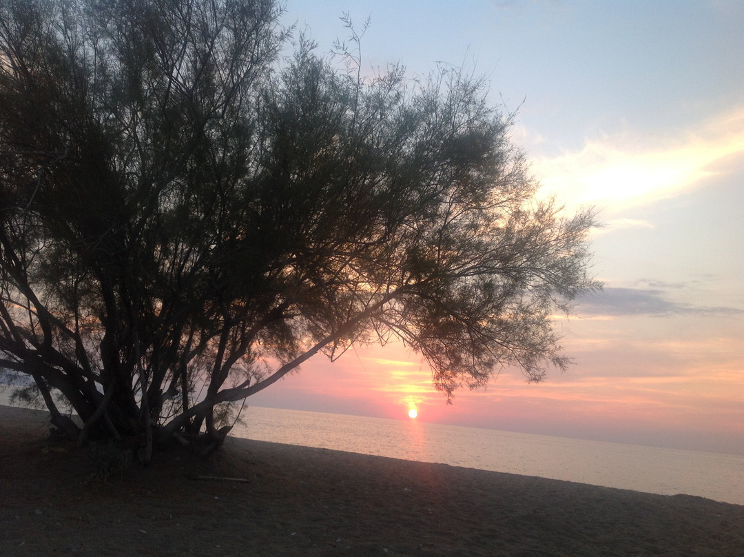 Unluselek Hotel主图