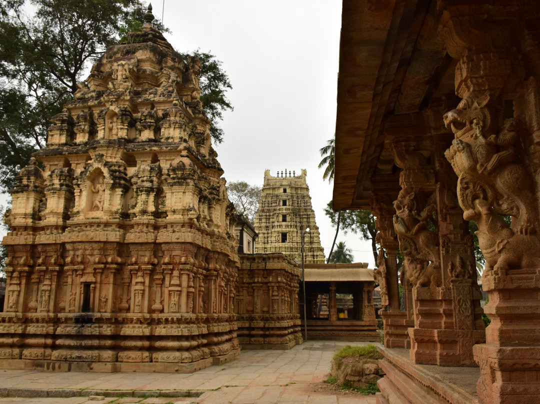 Shri Someshwara Swamy Temple景点图片