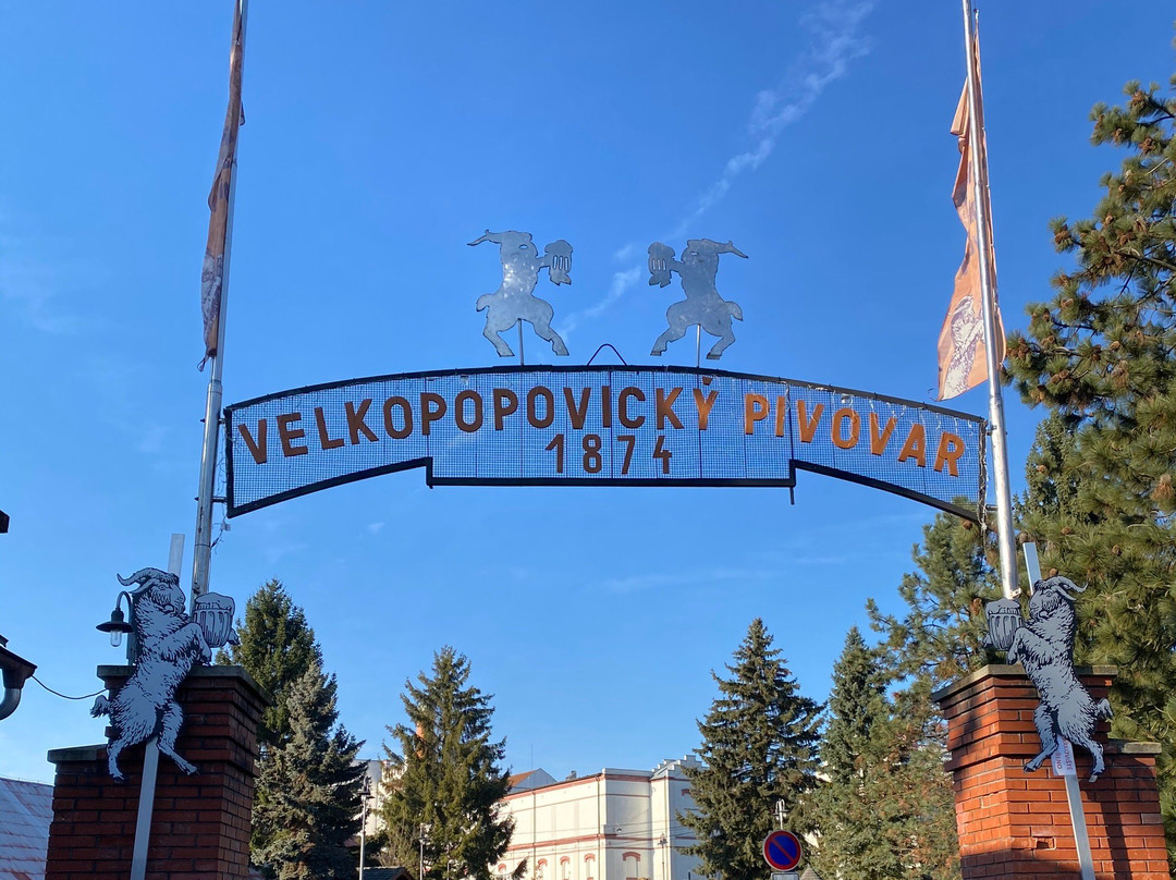 Pivovar Velke Popovice景点图片