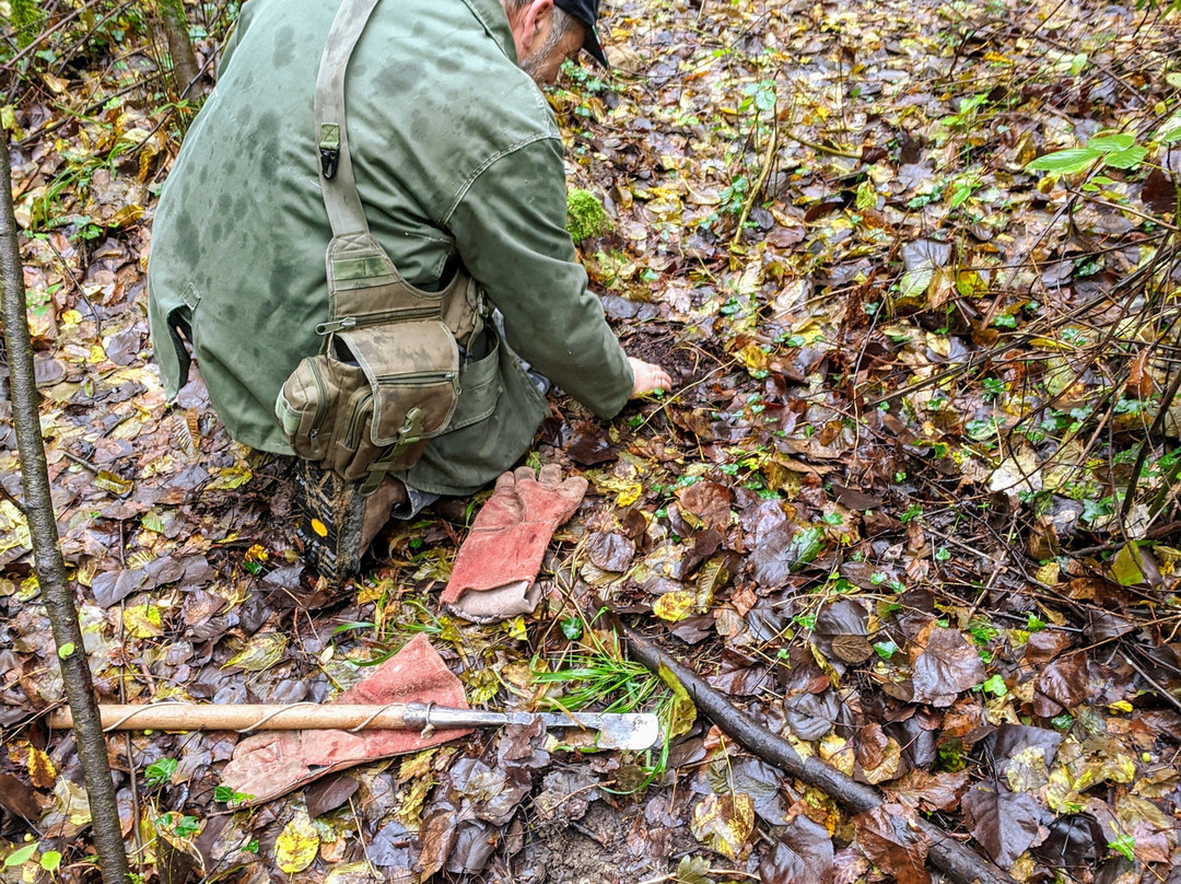 Toscana Tartufi - Truffle Hunting-圣米尼亚托必去景点