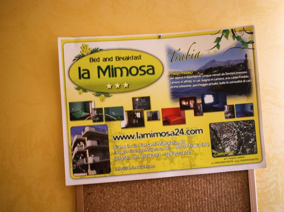 B&B La Mimosa主图