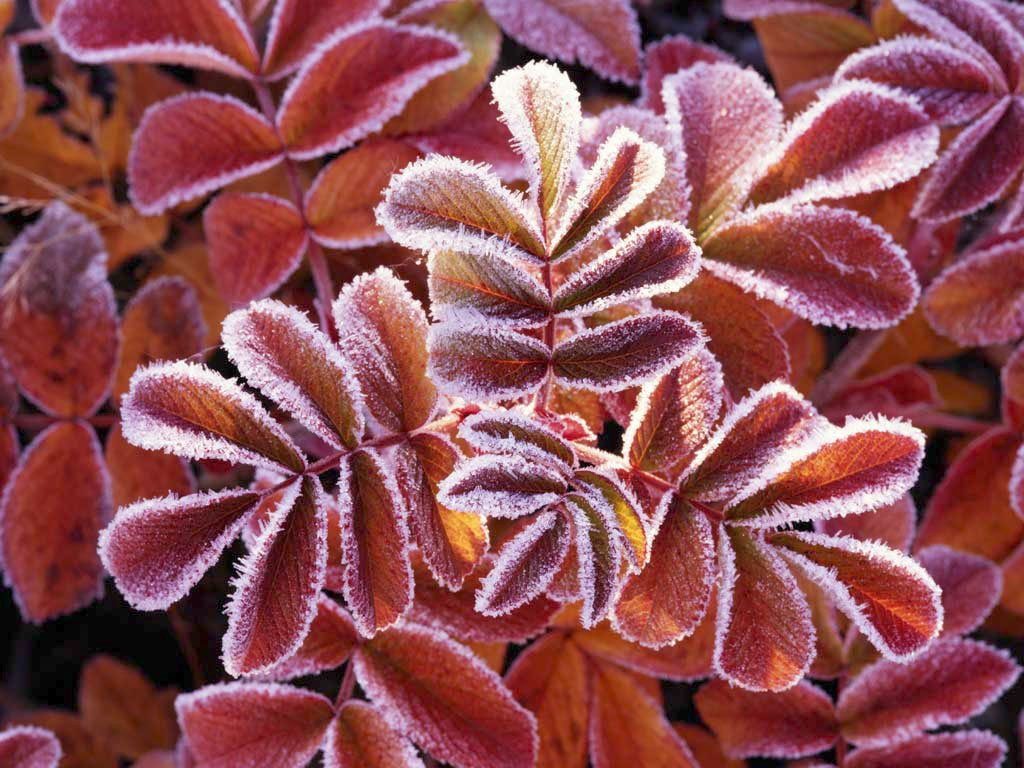 Adventure Rooms-安科纳必去景点