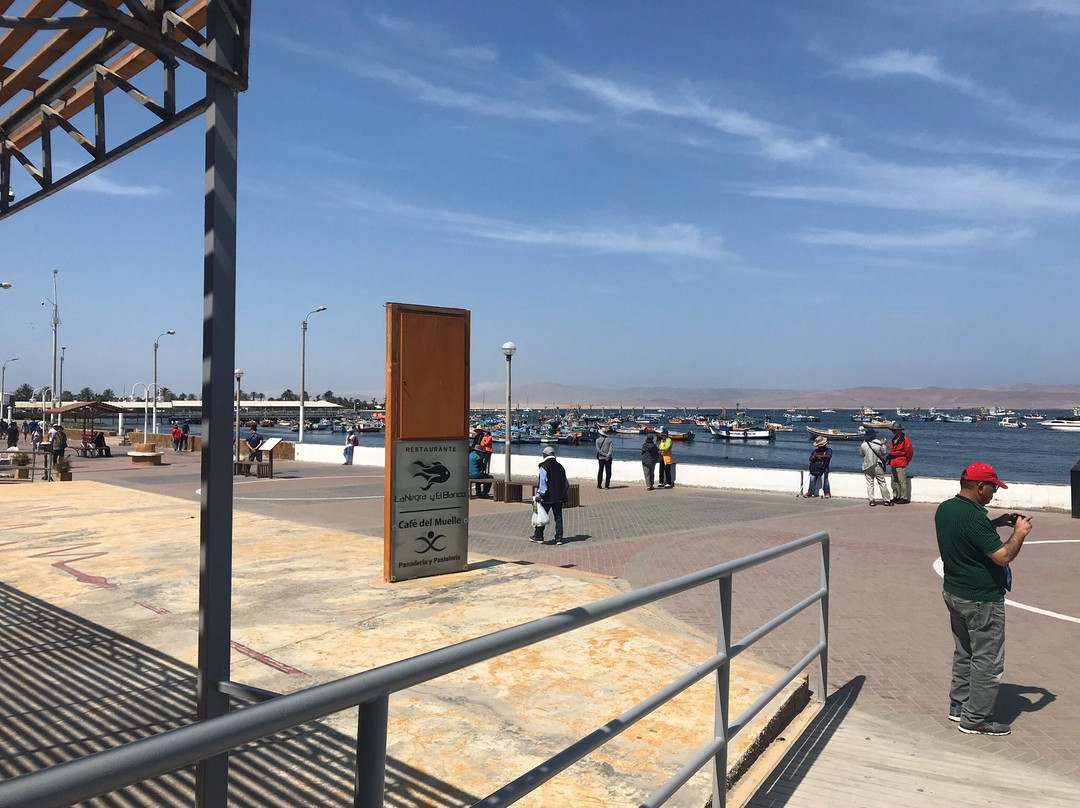 The Boulevarde-帕拉卡斯必去景点