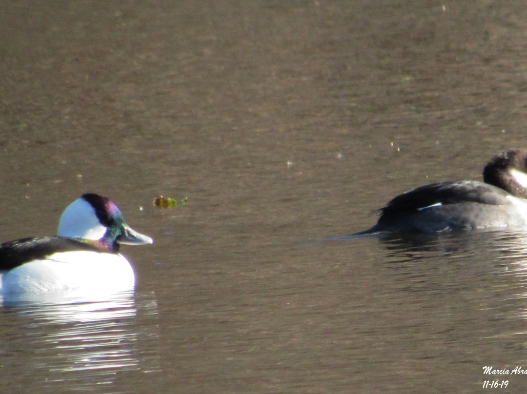 Fort Totten Park-Bayside必去景点