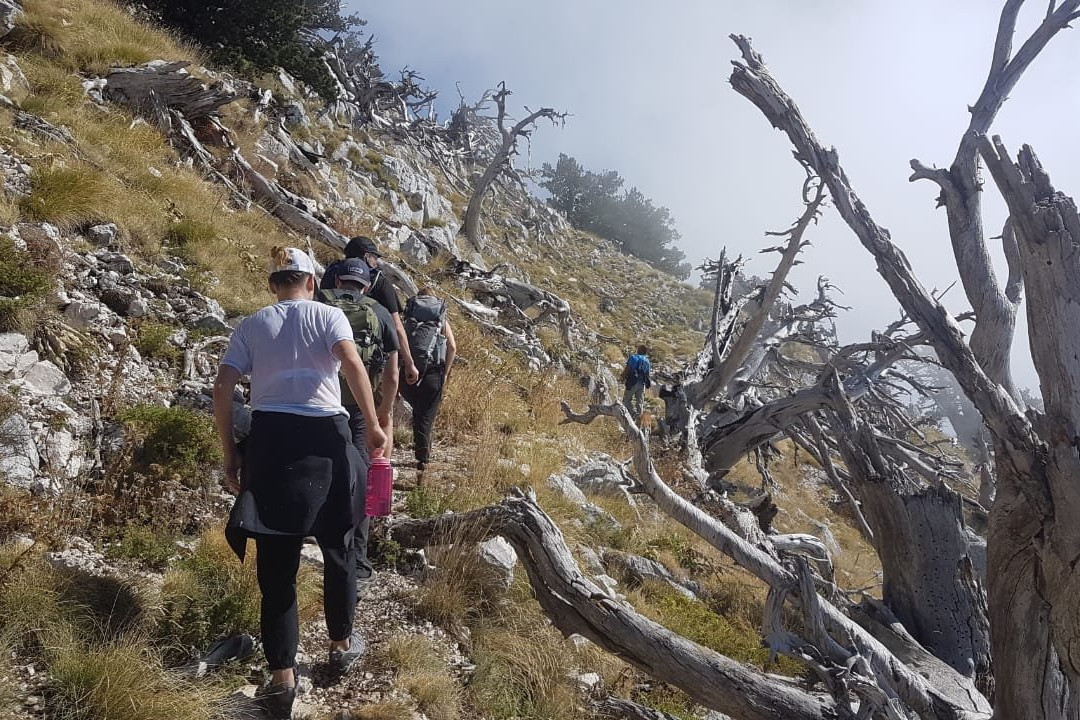 null-Llogara National Park