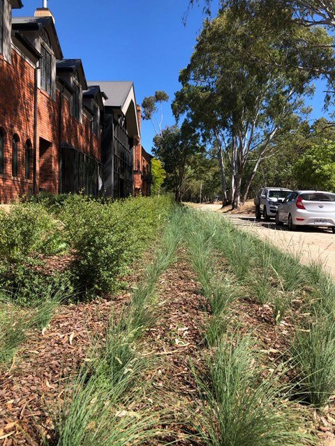 The Trawool Estate主图