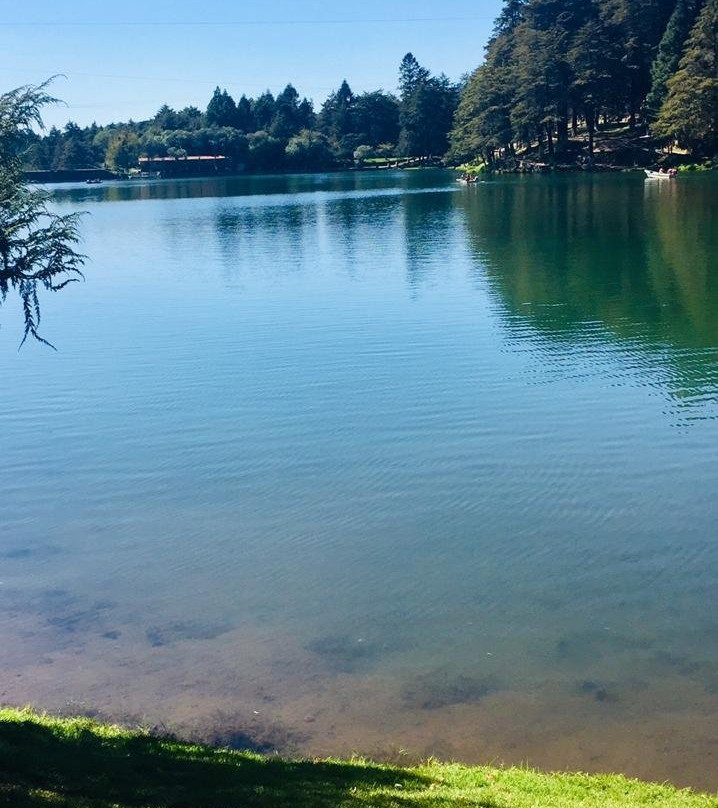 Presa El Cedral-Pluma Hidalgo必去景点