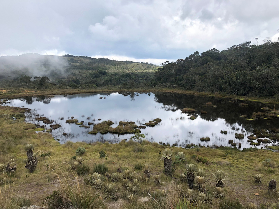 Aventura San Francisco-麦德林必去景点