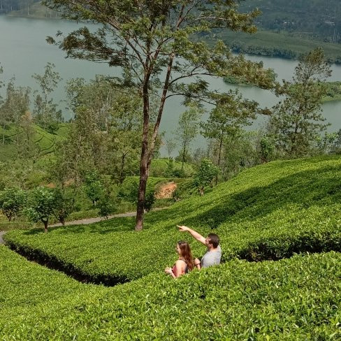 Deshan's Tour of Sri Lanka-Nawalapitiya必去景点