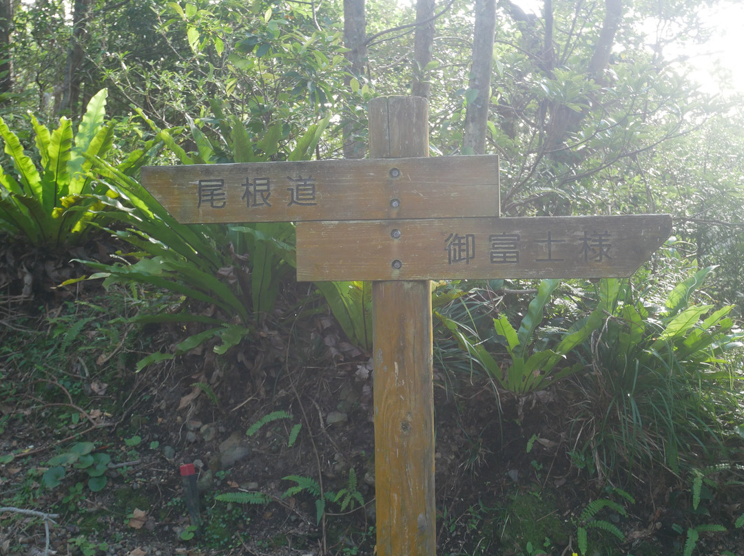 Maruyama Boardwalk-青岛必去景点