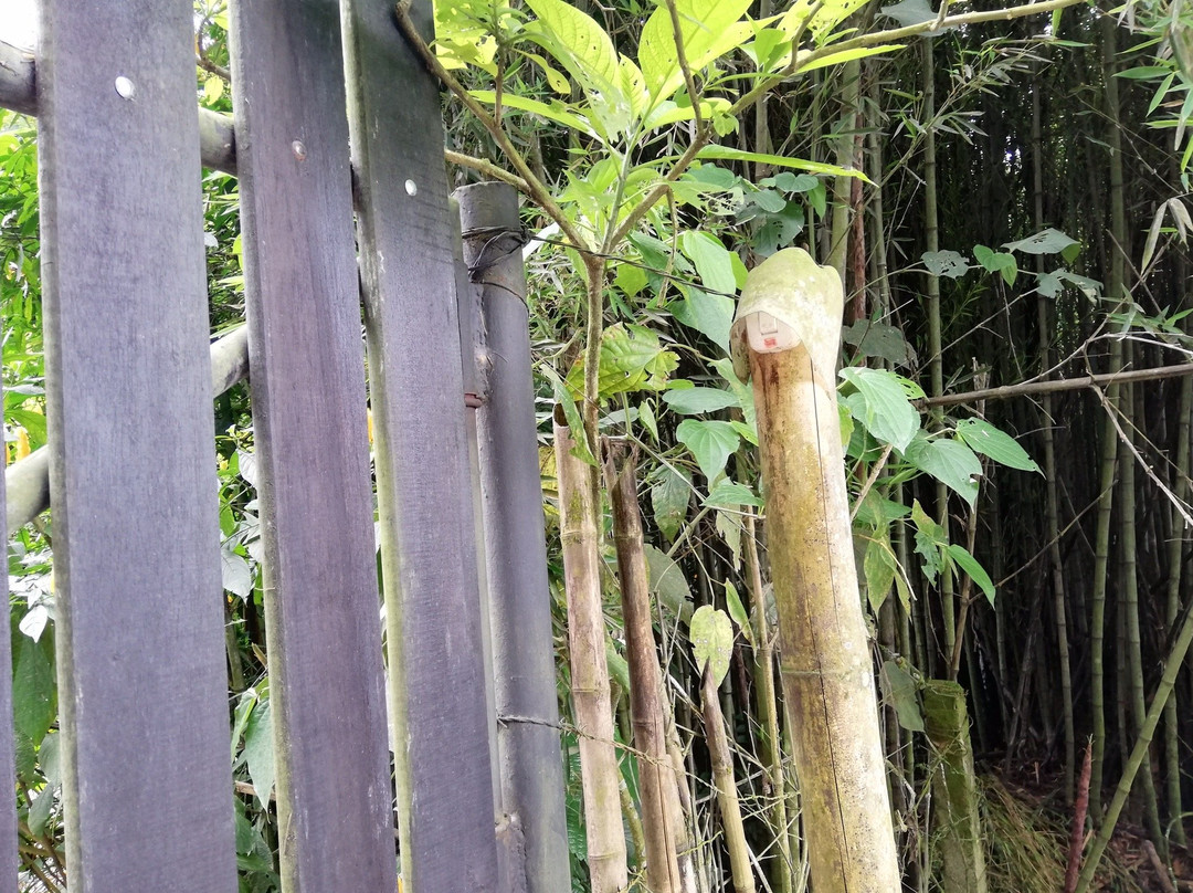 Bonita Farm-佩雷拉必去景点