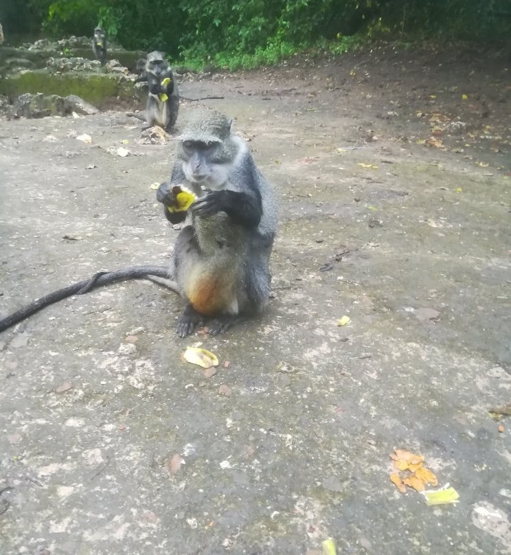 Vera Africa Tours And Safaris-瓦塔木必去景点