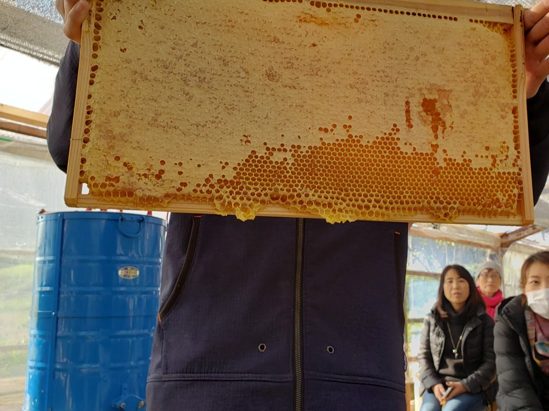 Hachimitsu Kobo-君津市必去景点