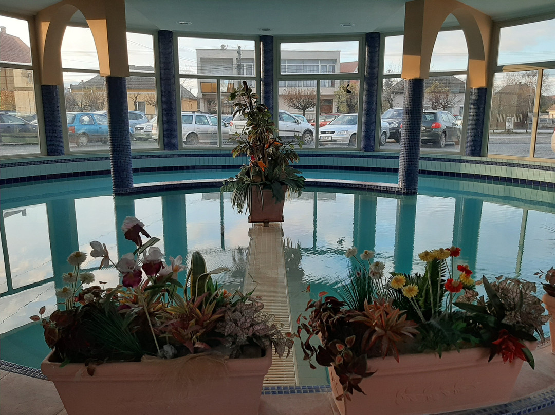 Brigetio Thermal Bath Komarom-Komarom必去景点