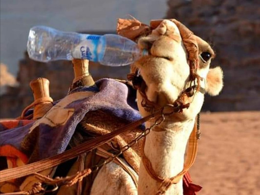 Wadi Rum Desert Tours-瓦地伦必去景点