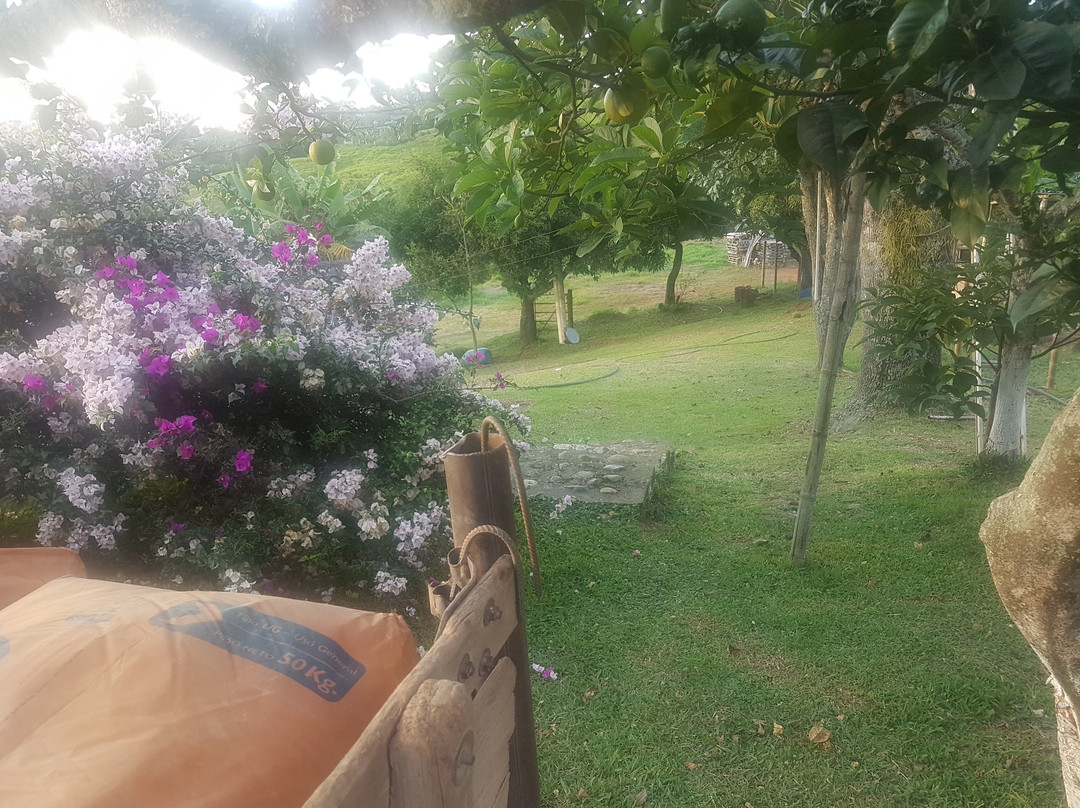 Yerbabuena Finca Resort