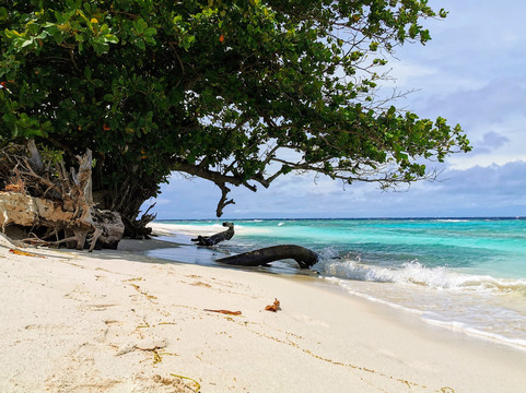 Maclura Residence主图