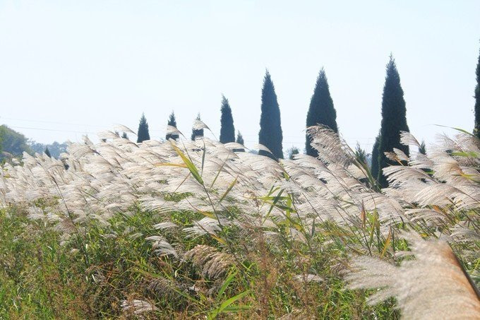 黄河入海口-东营市必去景点